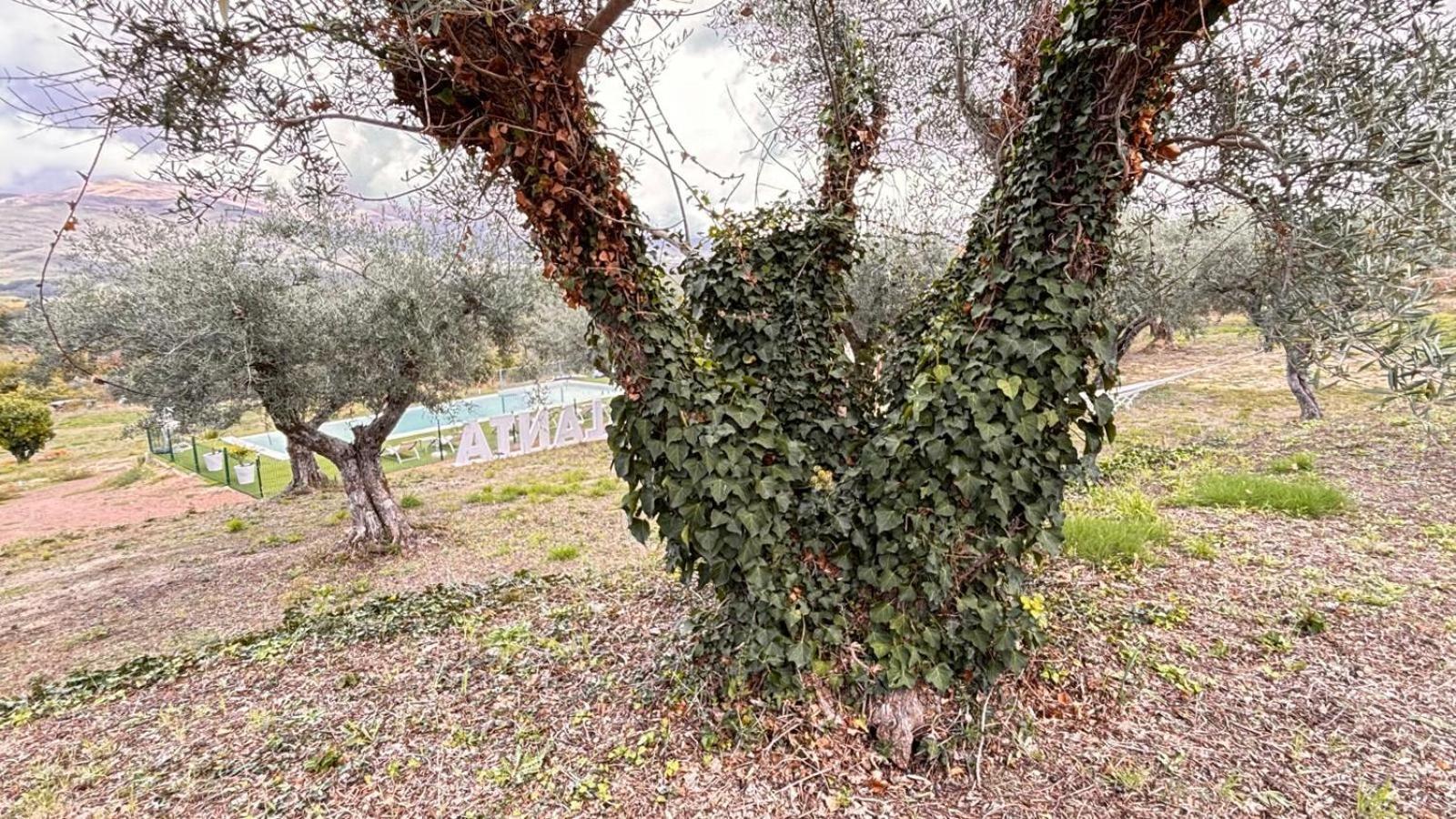 Casa Rural Atalanta De La Vera Country house *